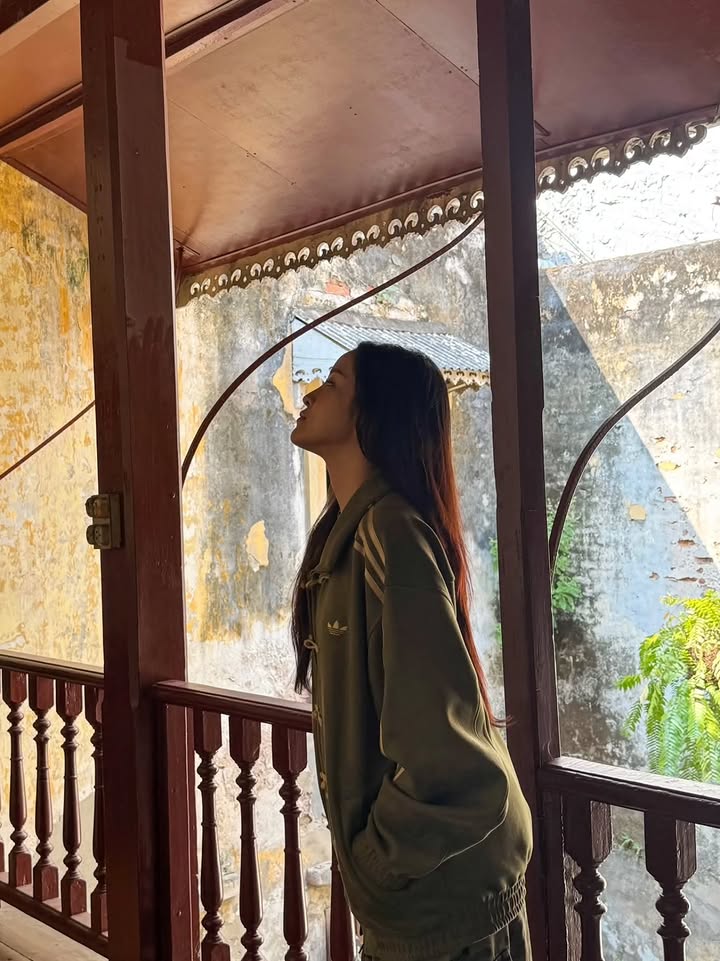 CNY Unisex Premium Olive Green Jacket | Stylish Streetwear Jacket for Men & Women